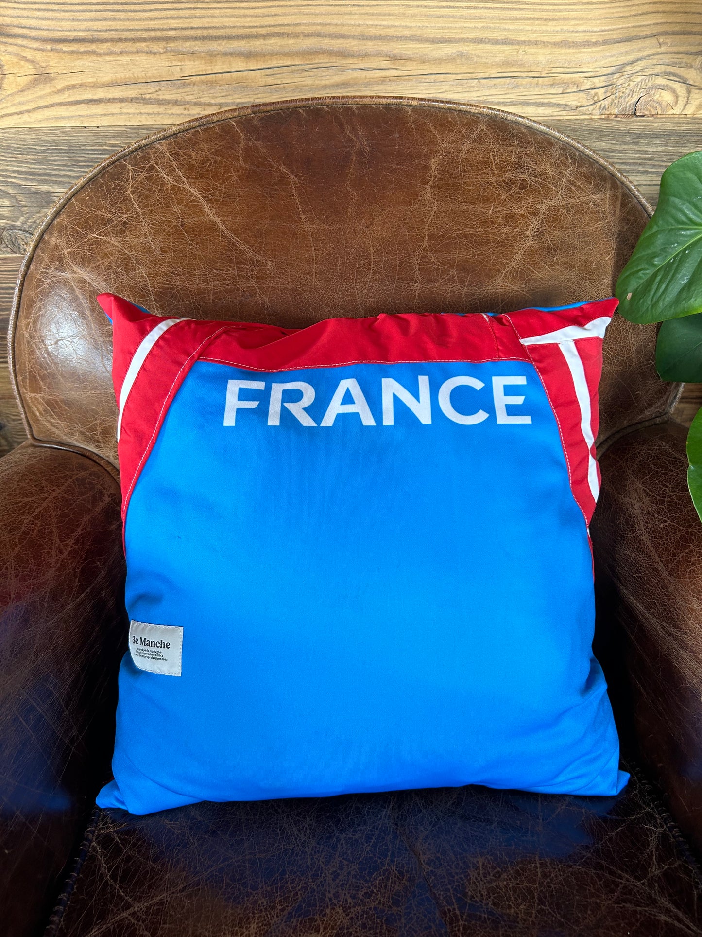 Coussin - Basile