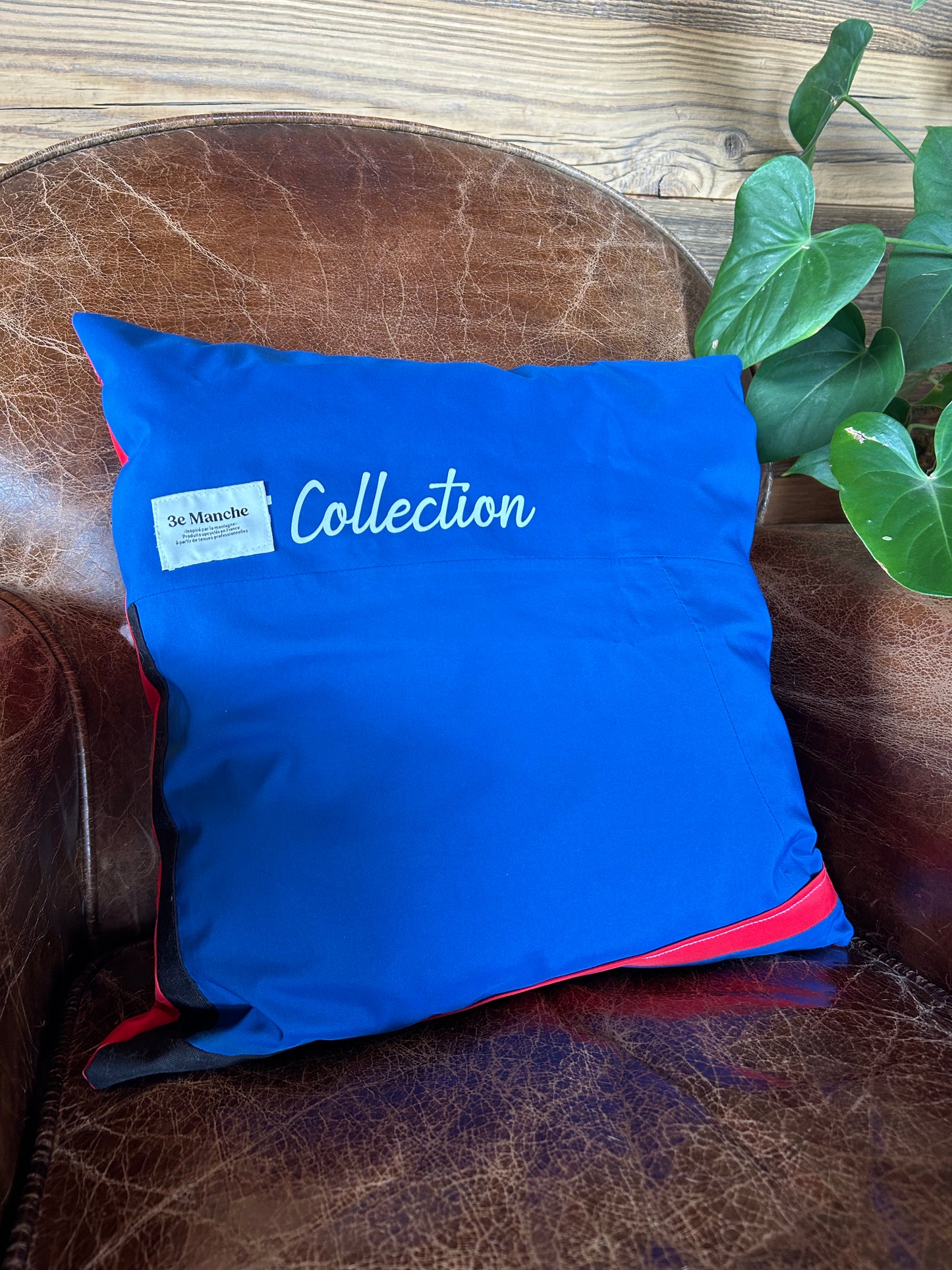 Coussin - Basile