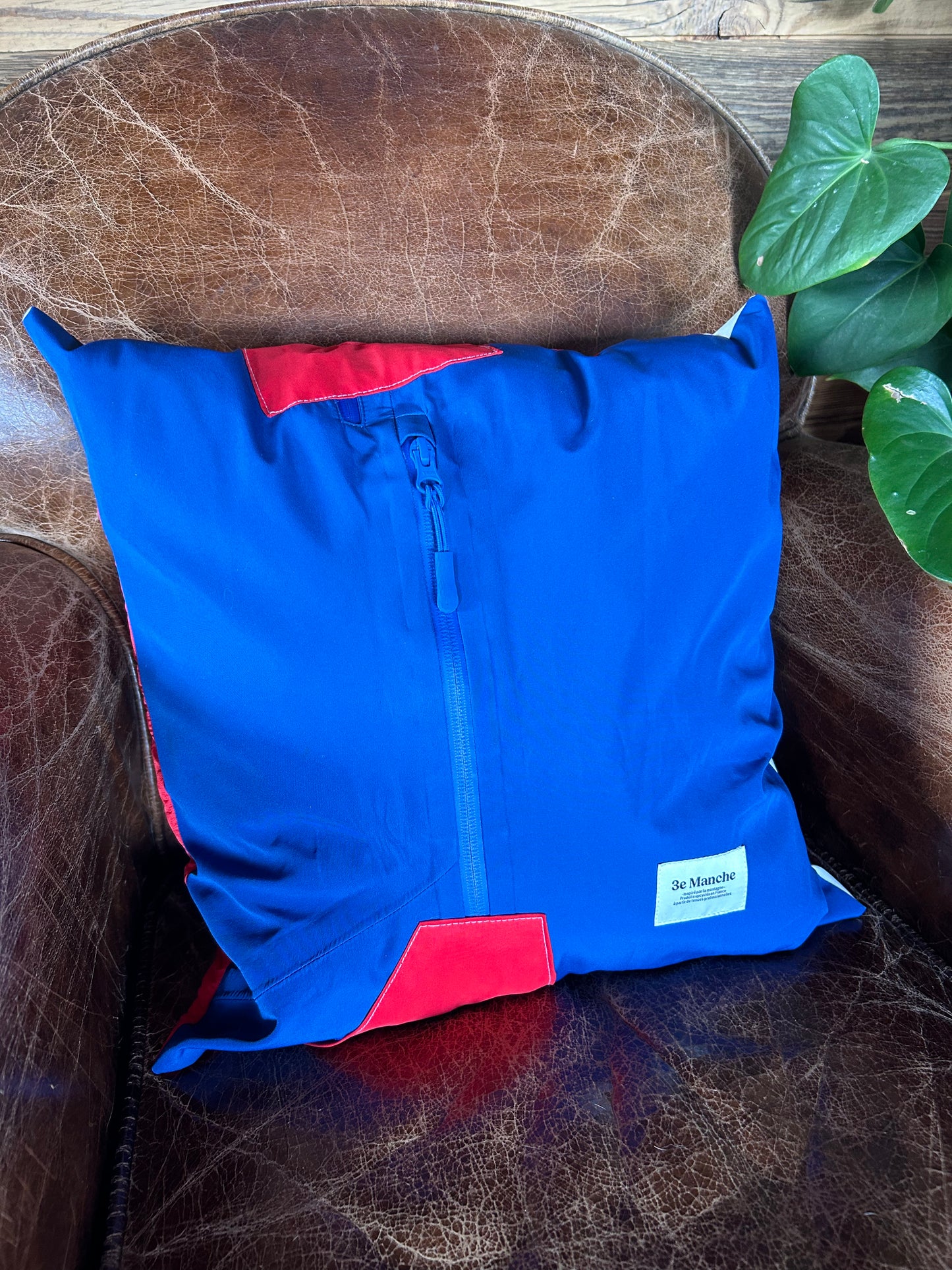 Coussin - Basile