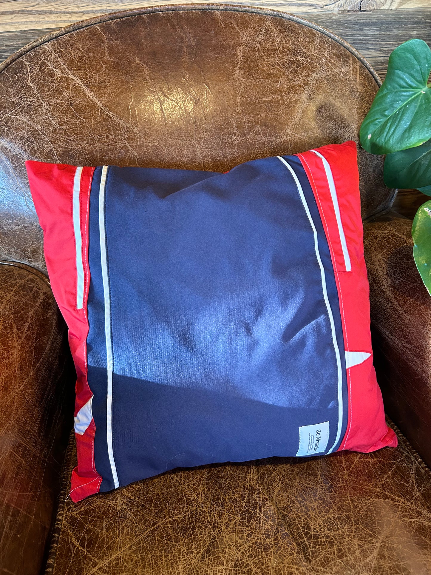 Coussin - Basile
